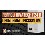 Газовый котел Ferroli Divatech D F 32