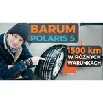 Автомобильная шина Barum Polaris 5 205/55 R16 91T