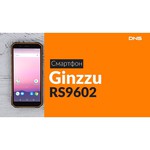 Смартфон Ginzzu RS9602