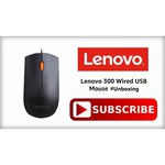 Мышь Lenovo 300 GX30M39704 Black USB