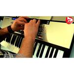 MIDI-клавиатура Novation 49SL MkIII обзоры