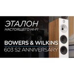 Акустическая система Bowers & Wilkins 603
