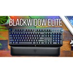 Клавиатура Razer BlackWidow Elite (Green Switch) Black USB обзоры