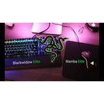 Клавиатура Razer BlackWidow Elite (Green Switch) Black USB