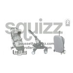 Прогулочная коляска SQUIZZ Looping 2 (Z15)