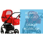 Универсальная коляска Adamex Reggio (2 в 1)