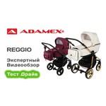 Универсальная коляска Adamex Reggio (3 в 1)