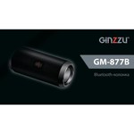 Портативная акустика Ginzzu GM-877B