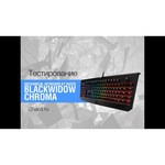 Клавиатура Razer Blackwidow Chroma Overwatch Edition Black USB обзоры