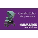Прогулочная коляска CARRELLO Echo CRL-8508