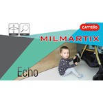 Прогулочная коляска CARRELLO Echo CRL-8508