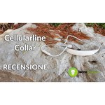 Наушники Cellularline Collar