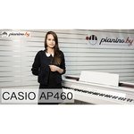 Casio AP-460