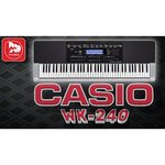 Casio WK-240
