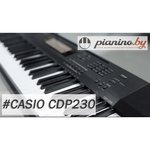 Casio CDP-230R