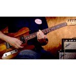 Fender Select Carved Blackwood Top Telecaster SH
