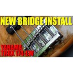 Yamaha TRBX174