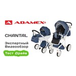 Универсальная коляска Adamex Chantal (2 в 1)