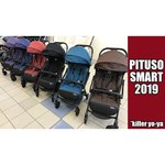 Прогулочная коляска Pituso Smart