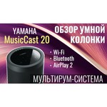 Портативная акустика YAMAHA MusicCast 20