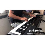Цифровое пианино Artesia Performer