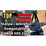 Фотоаппарат Canon EOS 250D Body
