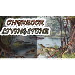 Электронная книга ONYX BOOX Livingstone