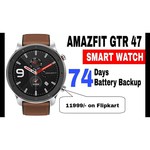Часы Amazfit GTR 47mm titanium case, fluororubber strap
