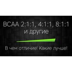 BCAA OstroVit BCAA 2:1:1 (200 г)
