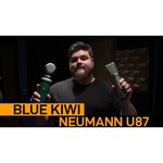 Микрофон Neumann U 87 Ai