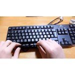 Logitech Classic Keyboard K100 Black PS/2