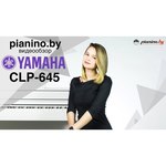 Цифровое пианино YAMAHA CLP-735