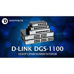 D-link DGS-1100-16