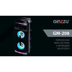 Ginzzu Музыкальный центр GiNZZU GM-208 черный