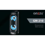 Ginzzu Музыкальный центр GiNZZU GM-210 черный