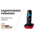 Радиотелефон Panasonic KX-TG1611 RUH Grey