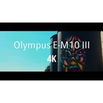 Фотоаппарат Olympus OM-D E-M10 Mark III S Kit