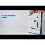 Беспроводные наушники Sennheiser CX 150 BT