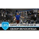Giant Cypress DX (2015)