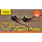 Jabra Sport Pulse Wireless