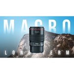 Canon EF 100mm f/2.8L Macro IS USM