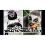 Nikon 18-200mm f/3.5-5.6G ED AF-S VR II DX Zoom-Nikkor