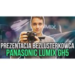 Panasonic Lumix DMC-GF5 Body