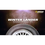 Landsail Winter Lander