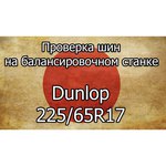 Dunlop Winter Maxx SJ8 245/55 R19 103R