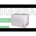 Hansa FS300.3