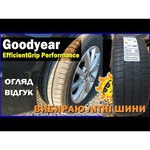 Goodyear EfficientGrip Performance 225/55 R17 101V