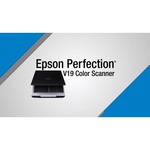 Epson Perfection V19