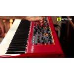 NORD Stage 2 EX Compact