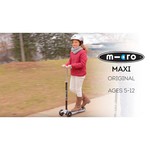 Firefly Scooter Maxi Micro 21st